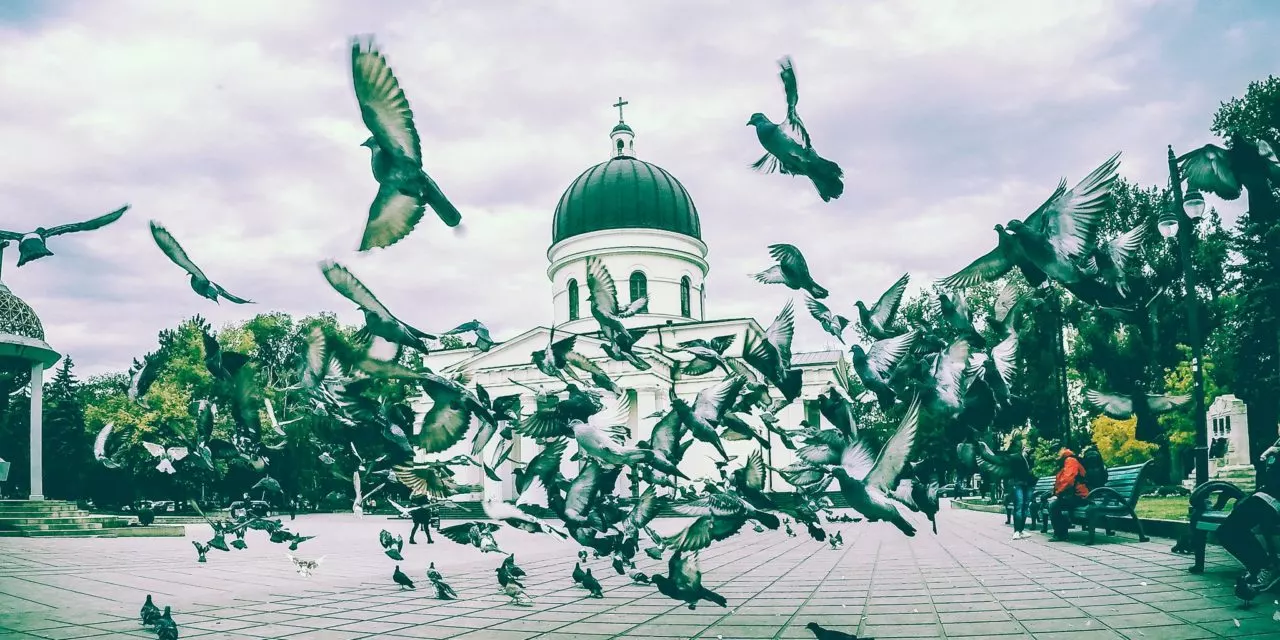 J’AI AIMÉ CHISINAU DÈS QUE J’Y AI POSÉ LE PIED