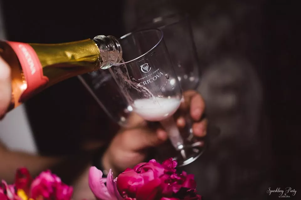 61257928_2154682737914487_7681528839729577984_n Sparkling Party