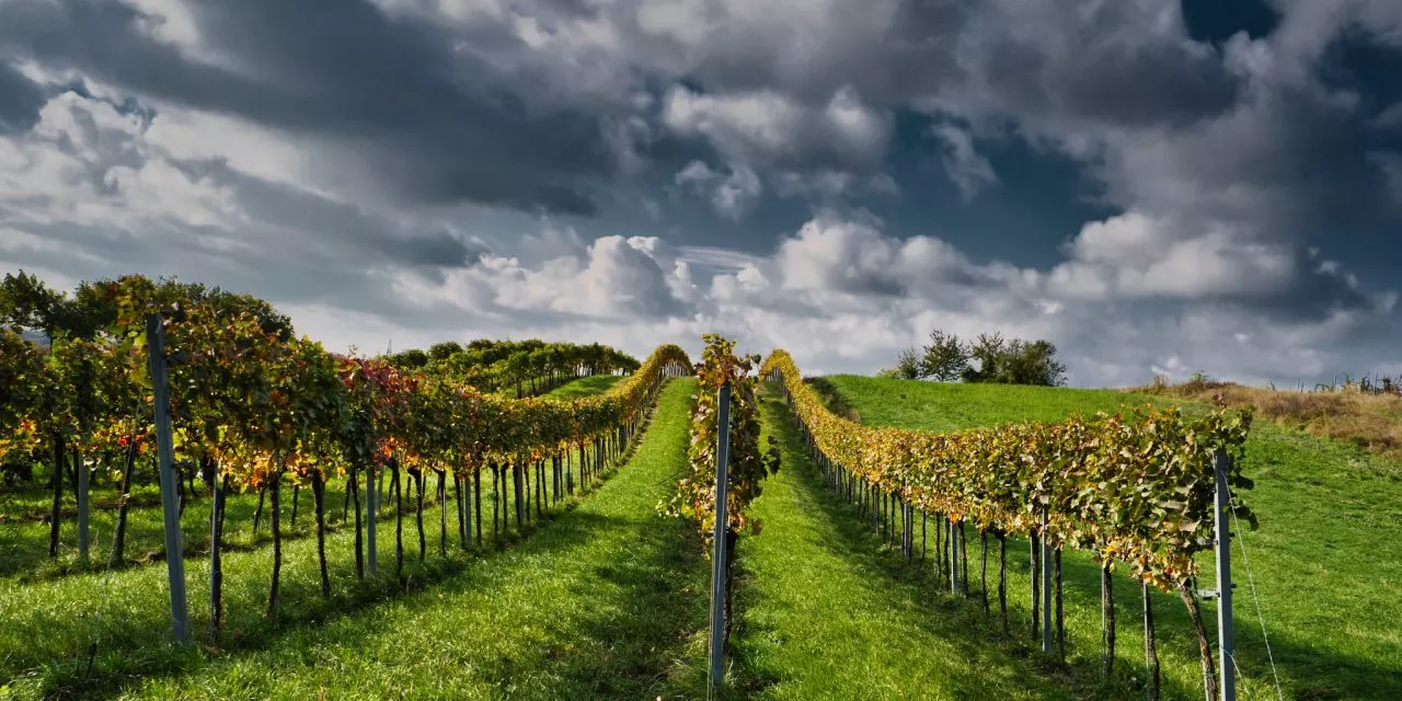 The Winerist a inclus la Moldavie dans le TOP 10 des destinations à visiter en 2020