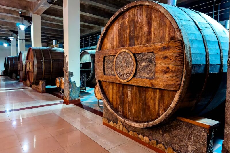 Visite de Chisinau et des vignobles de Cojusna