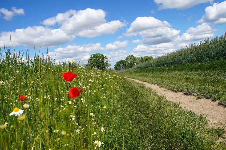 4 of the best cycling routes in Moldova