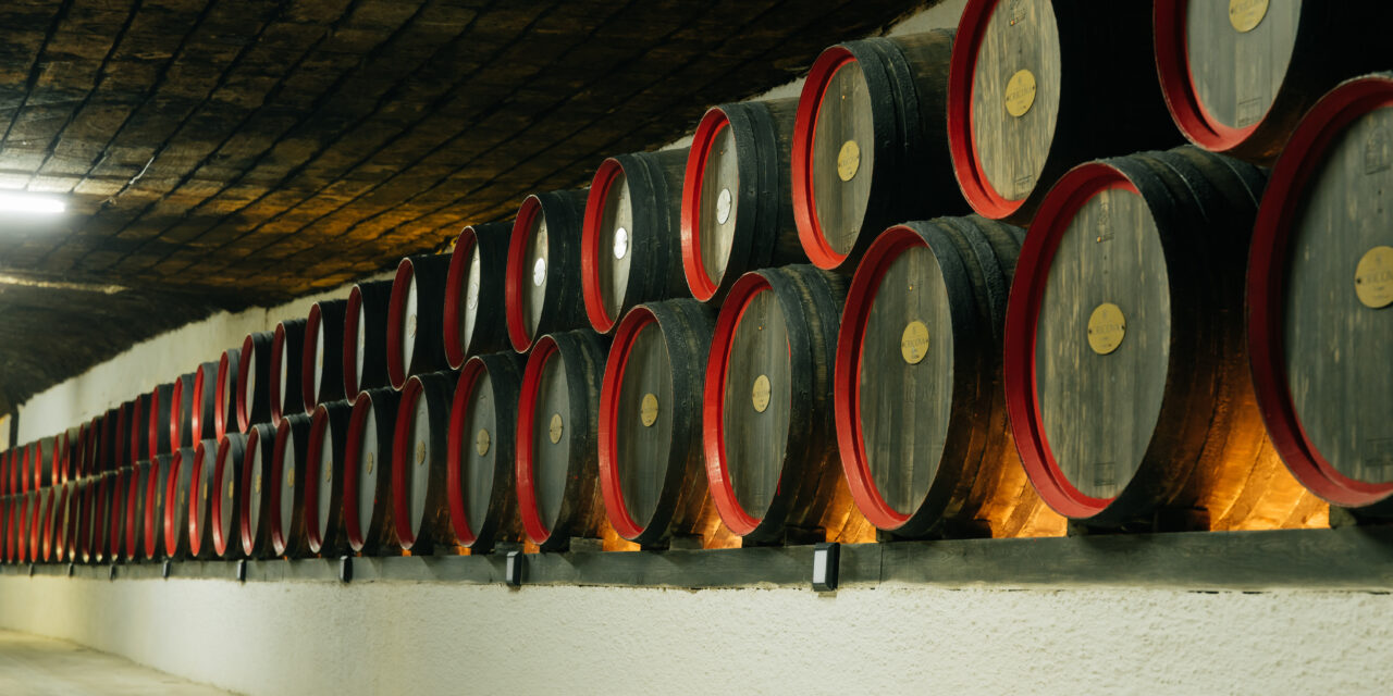 https://voyages-moldavie.com/wp-content/uploads/2025/04/vino-cricova-max-cristalov-3-1280x640.jpg