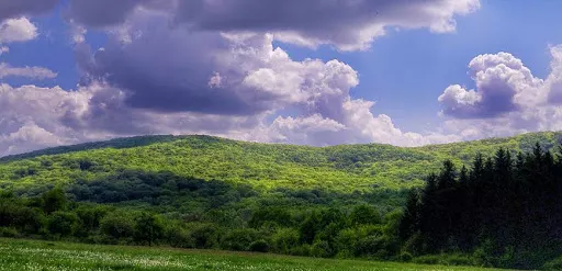 Journey into the Green Heart of Moldova: Ungheni and Strășeni