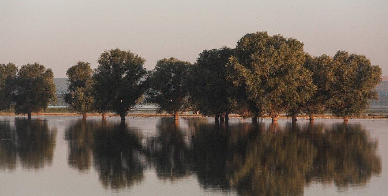 https://voyages-moldavie.com/wp-content/uploads/2025/07/photo_5452097632789984392_y-1267x640.jpg