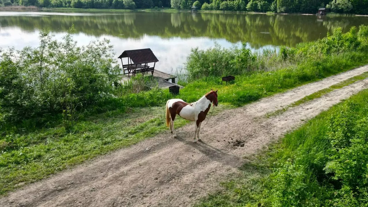 A Perfect Day Trip from Chișinău: Why You Should Explore Beyond the Capital